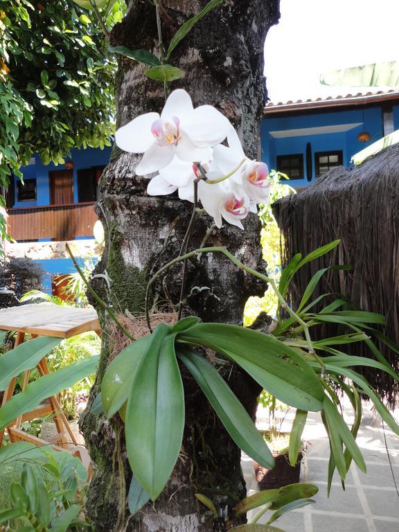 Pousada Dos Meros Vila do Abraao Exterior photo
